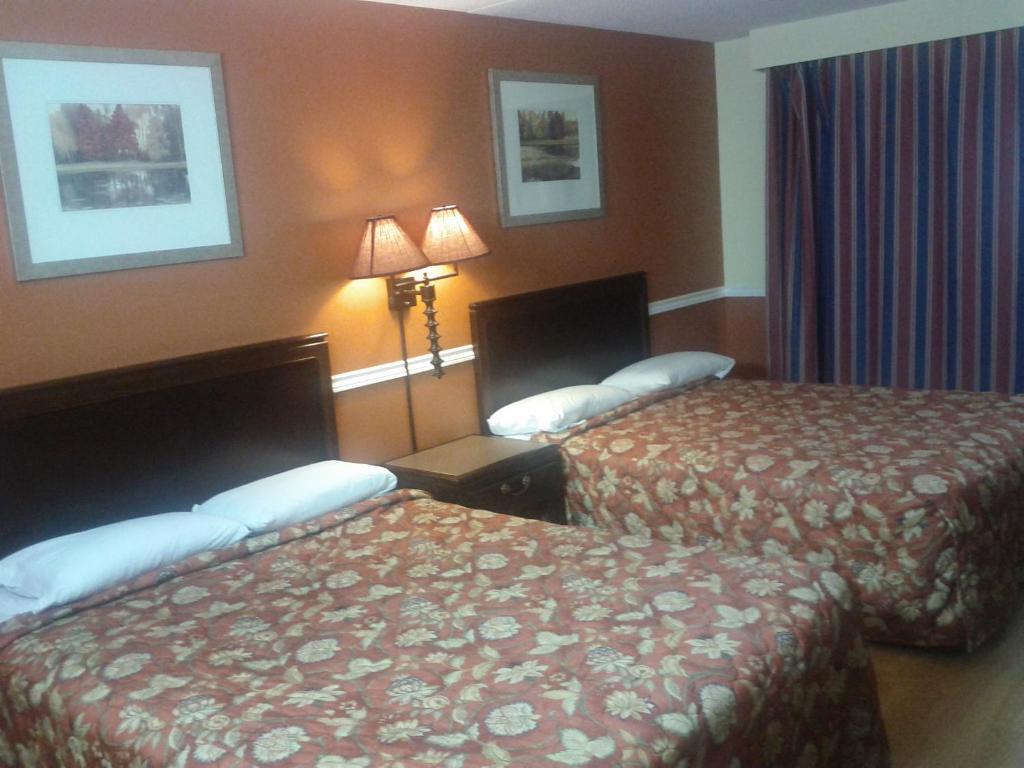 Budget inn 2000 Hamilton Zimmer foto